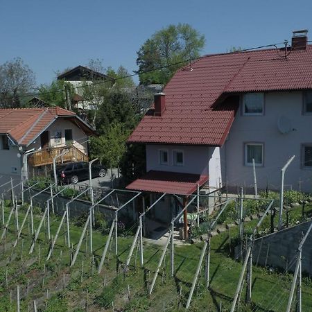 Apartment House Sumrak Bizeljsko Exterior photo